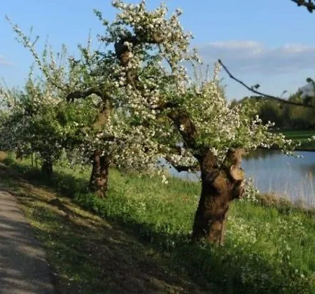 Bed & Breakfast De Neust Beesd