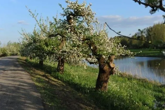 Bed and breakfast De Neust Beesd